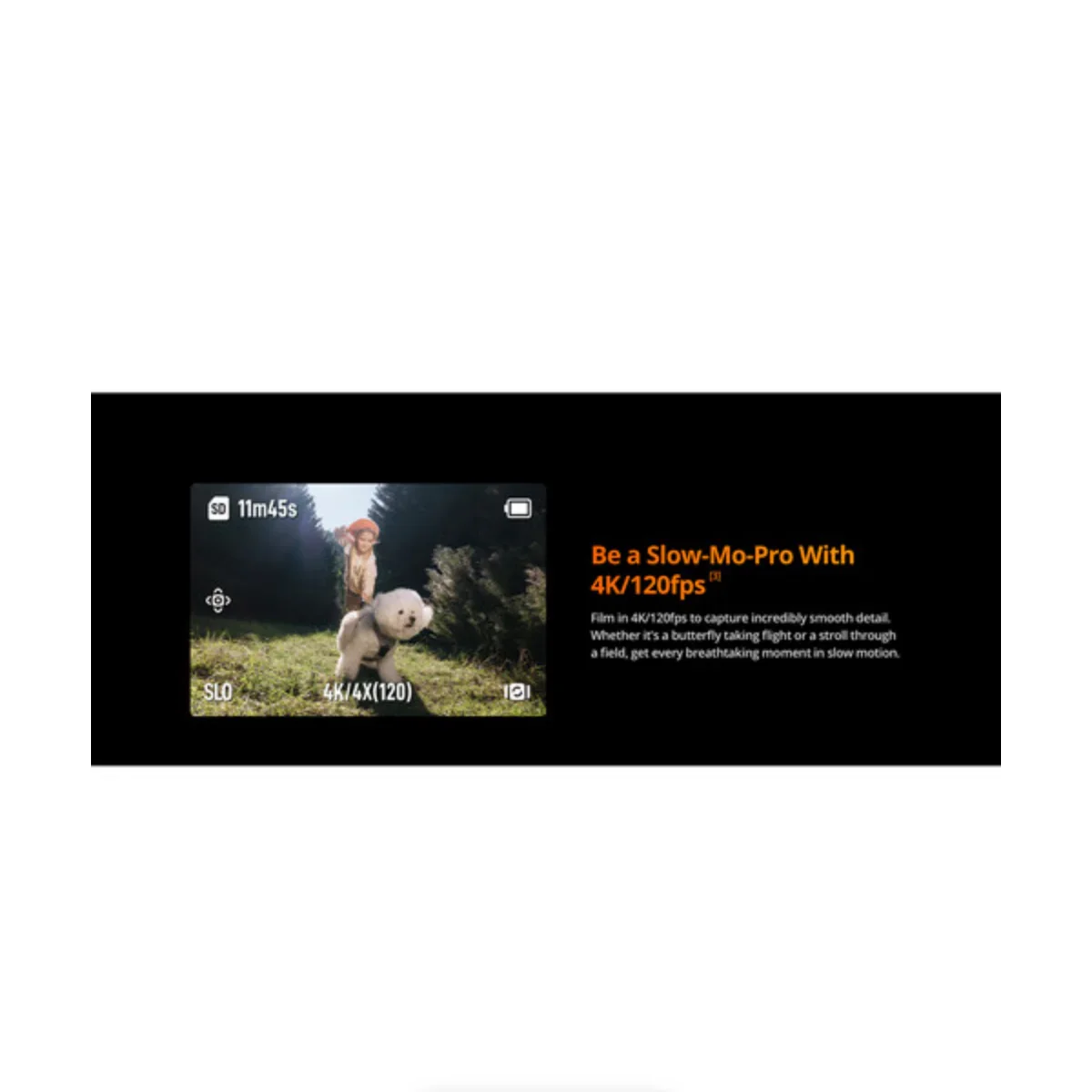 Thumbnail 28